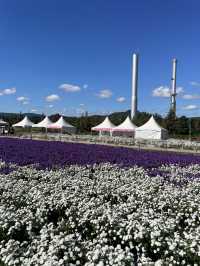 Best autumn escapes near Seoul-Nari Park in Yangju