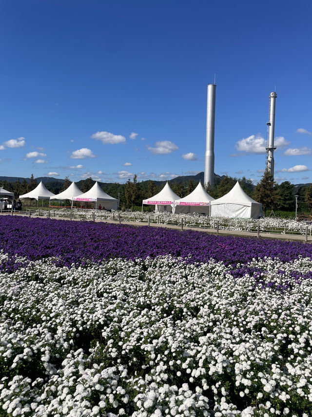 Best autumn escapes near Seoul-Nari Park in Yangju
