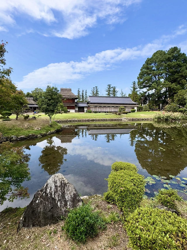 🌿 Weekend Stroll in Tsuyama: Shurakuen Garden