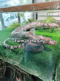 Farm In The City: An Interactive and Educational Wildlife Experience for Families 