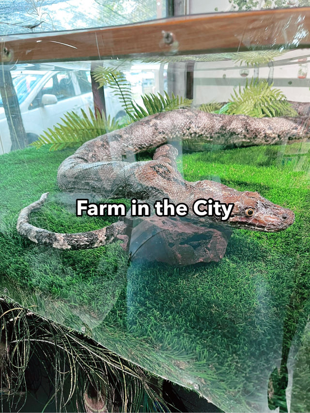 Farm In The City: An Interactive and Educational Wildlife Experience for Families 