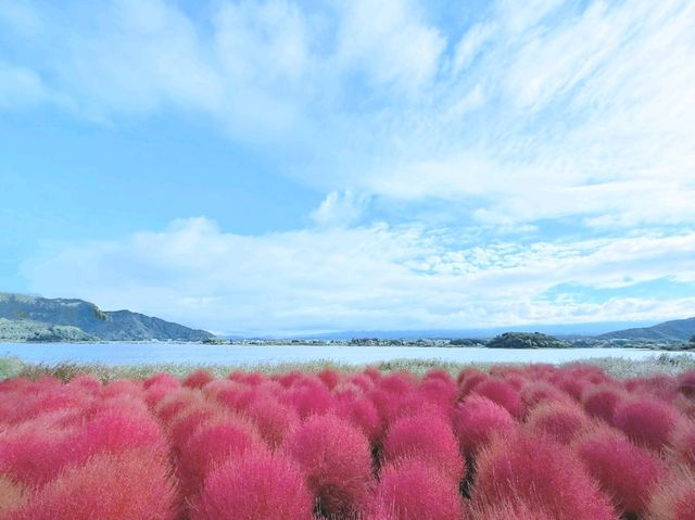 富士山と紅葉🗻🍁この景色はずるい！