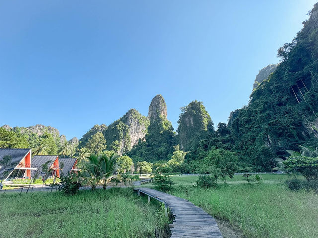 🌲บ้านมุงแคมป์ เนินมะปราง🌲