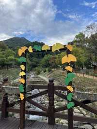 용문산 관광지 입구 풍경🍁