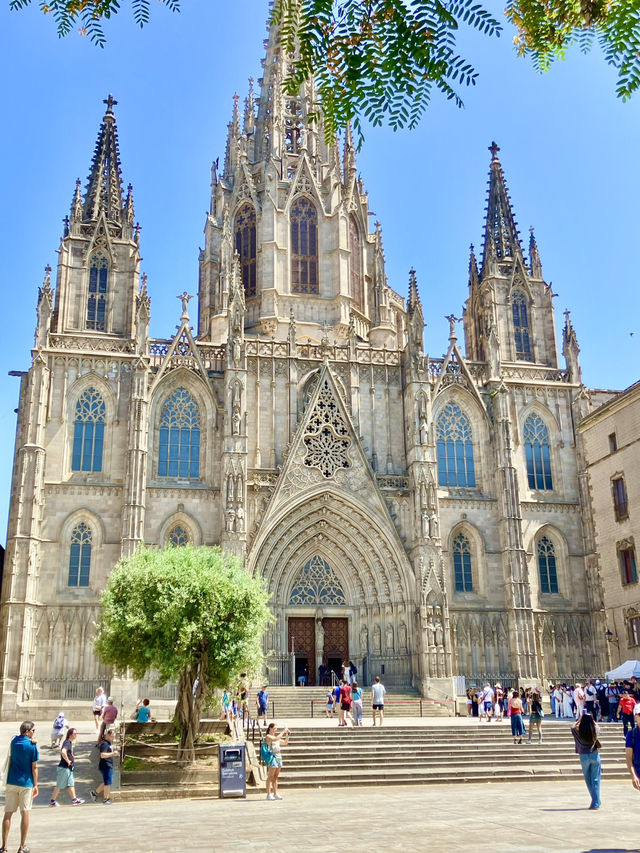 バルセロナの美しいカテドラル🇪🇸スペイン旅 バルセロナの美しいカテドラル🇪🇸スペイン旅