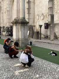 【🇵🇹ポルトガル】リスボンにある猫が人気な修道院
