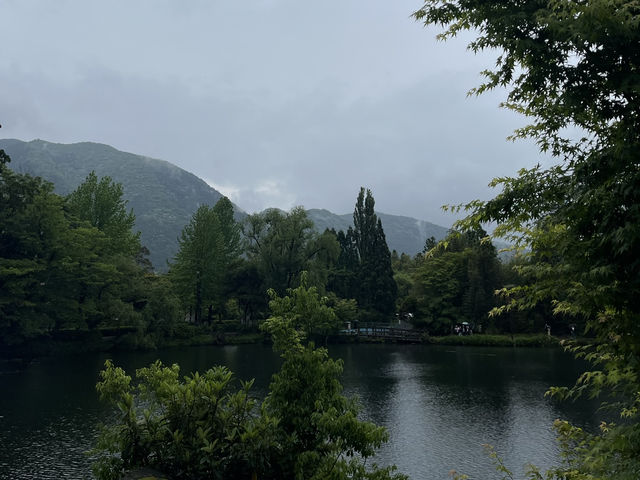 Yufuin Misty Magic🌧️