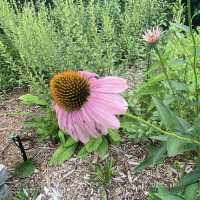 The State Botanical Garden of Georgia