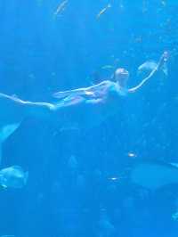 เที่ยวครบในที่เดียว! 🏰Huaxia Tourist Xi'an Resort