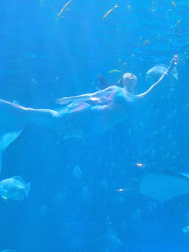 เที่ยวครบในที่เดียว! 🏰Huaxia Tourist Xi'an Resort