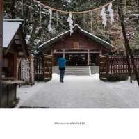 ⛩ Hokkaido Jingu – ศาลเจ้าศักดิ์สิทธิ์กลางธรรมชาติ