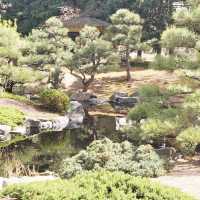 The Soloist's Mile-High Zen: Shofu-en Revisited