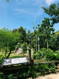 Immersed in Nature: Vinpearl Safari Adventure 🌿🌞