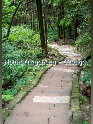 청성산 @ 쓰촨성