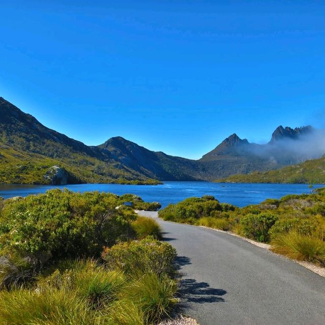 #mustvisit Tasmania 🩵🧡💜💚