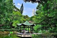 Kowloon Park - A green oasis in busy Tsim Sha Sui