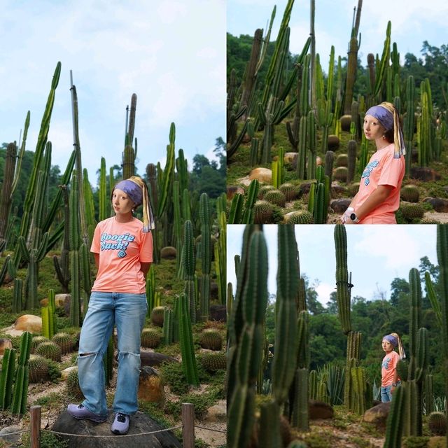 🌴🌺國家4A級旅遊景區推介🌻🪻