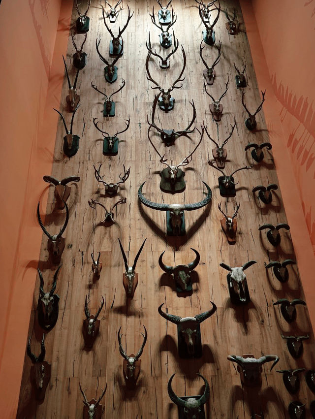 Shanghai Natural History Museum Shanghai Natural History Museum