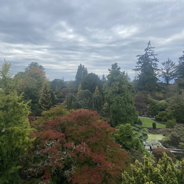 Queen Elizabeth Park