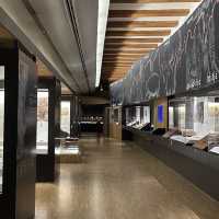 Museu de Prehistòria de València – Tracing the Origins of Humanity in Valencia