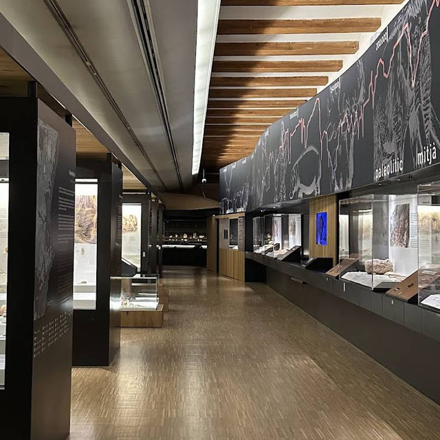 Museu de Prehistòria de València – Tracing the Origins of Humanity in Valencia