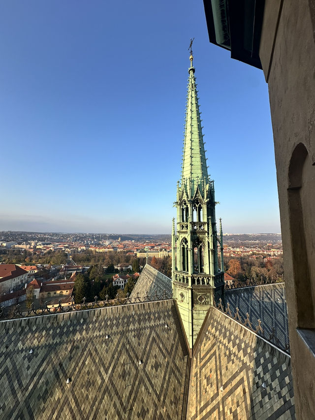 ํ๋ผํ์ฑ ํ๋ผํ์ฑ