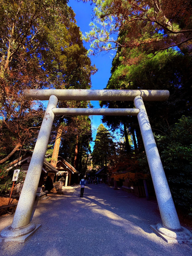 天岩戶神社 天岩戶神社