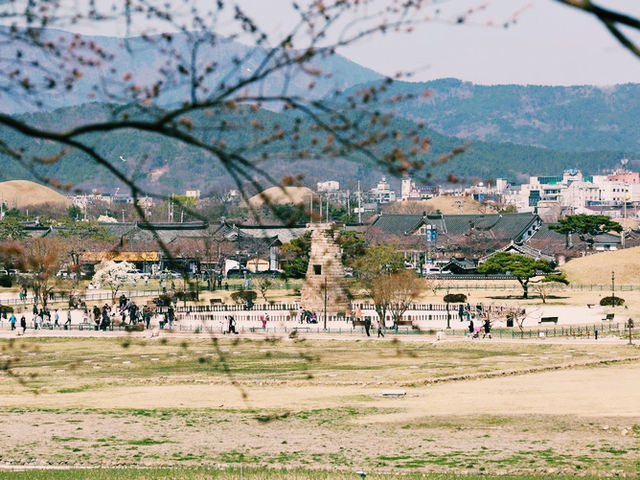 韓國🇰🇷 瞻星台 韓國🇰🇷 瞻星台