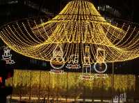 A Double Exposure of Light