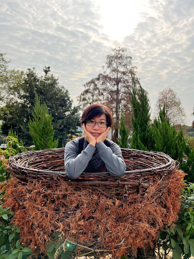 《雲河星空景觀餐廳|夜景、美拍、盪鞦韆一次滿足的浪漫景點! 《雲河星空景觀餐廳|夜景、美拍、盪鞦韆一次滿足的浪漫景點!