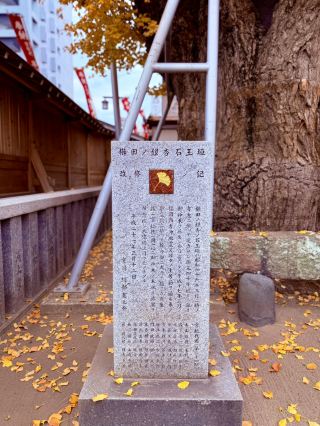 Golden Carpet of Autumn at Kushida Shrine