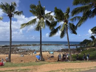 水が澄んで浅い天然プール、ハワイのシャークスコーブでシュノーケリング
