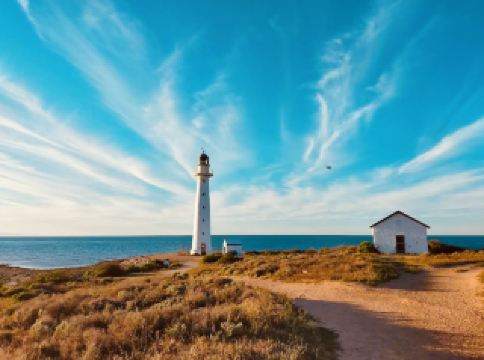 แสงสว่างนำทางริมทะเล: ประภาคารพอยต์โลว์ลี 🌊