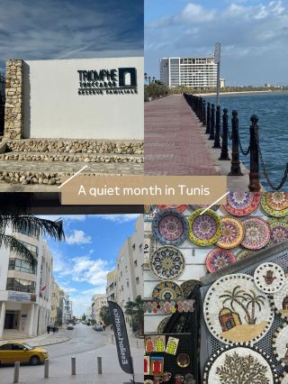 🌿 Living in Tunis for a month, enjoying travel like a local ✨