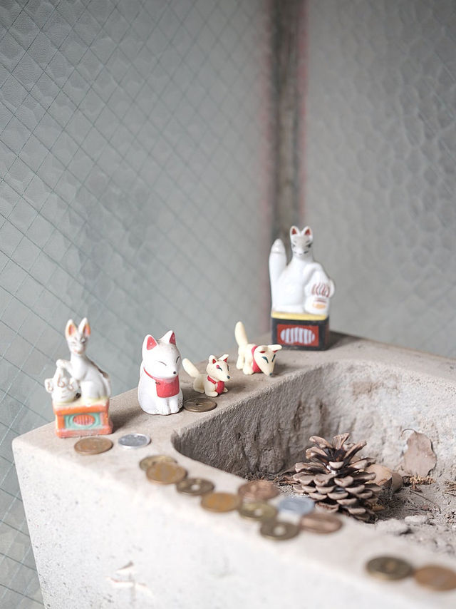 광활한 자연 속에서 만나는 여유