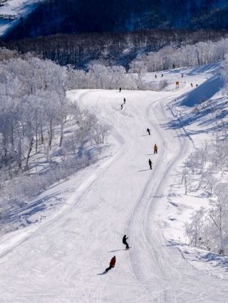 あなたが探し求めていた魔法のような雪のリゾートは、まさにここです！