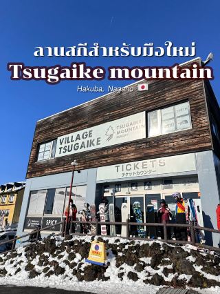 Tsugaike Mountain Resort | Newbie Friendly.