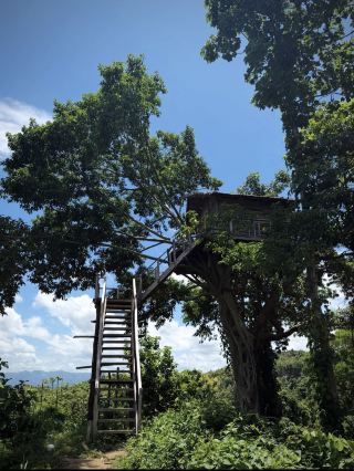 ☁️ Cloud Nest Station Tree House — バンジャルバン 🇧🇩