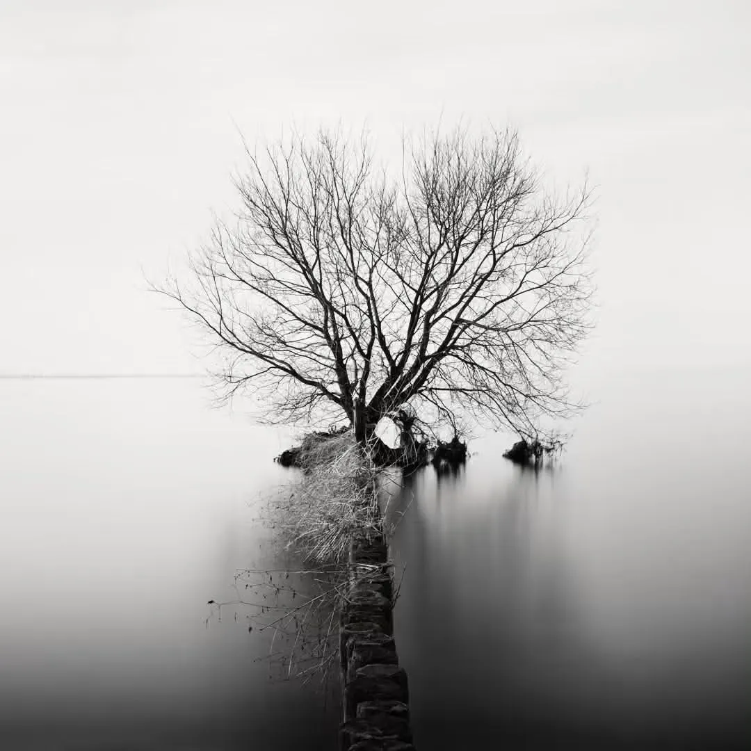 Lake Biwa, Japan — A Timeless Landscape in Black & White 🖤🤍🇯🇵