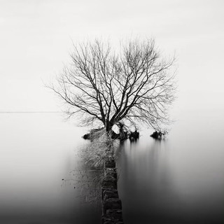 Lake Biwa, Japan โ A Timeless Landscape in Black & White ๐ค๐ค๐ฏ๐ต
