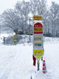 🏔️🚠 Mt. Tengu | นั่งกระเช้าชมวิวโอตารุ 🇯🇵❄️
