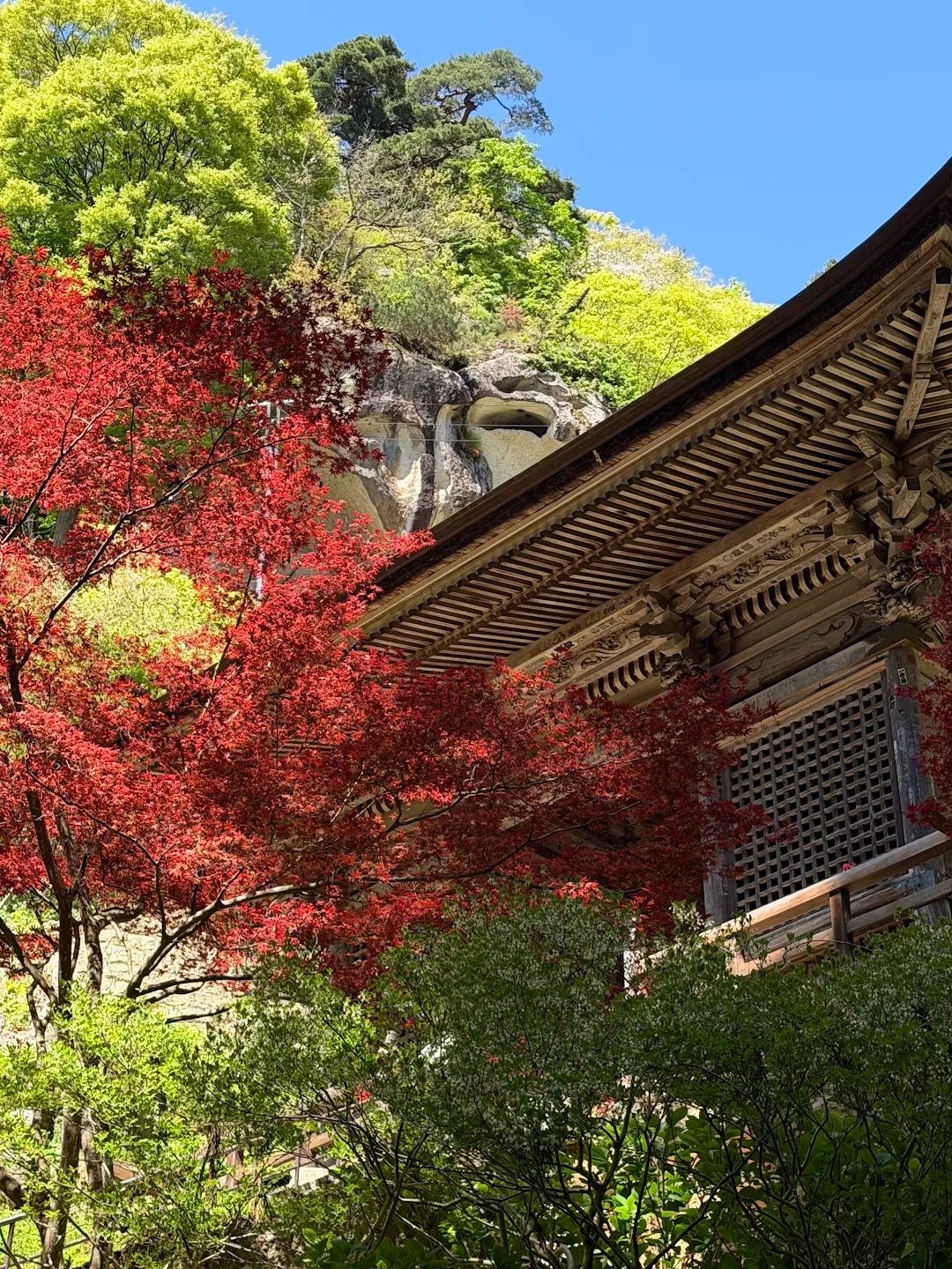 A 1000 Steps at Yamadera