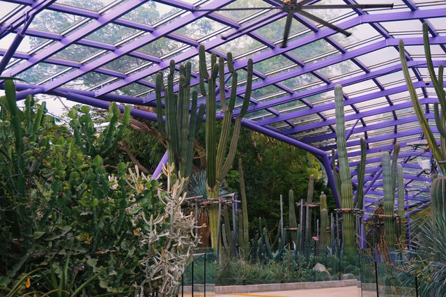 Exploring Singapore Beyond the Skyscrapers: My Sun Pavilion Experience