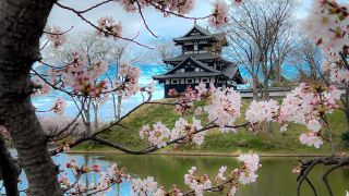 Why Takada Castle Should Be on Your Niigata Bucket List 🌸🏯