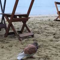 Paraty, parsdise beach city in Brazil