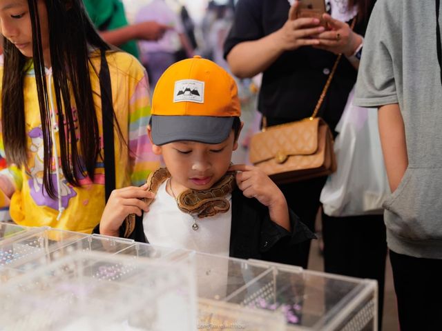 พจญภัยกับสัตว์นานาชนิด ยกมาไว้ที่ซีคอนศรีนครินทร์