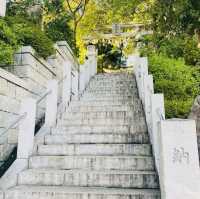 【東京都🇯🇵浅間神社】マイナスイオンたっぷり🌲子宝神社⛩️