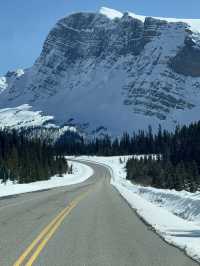 Calgary 8 Days Itinerary