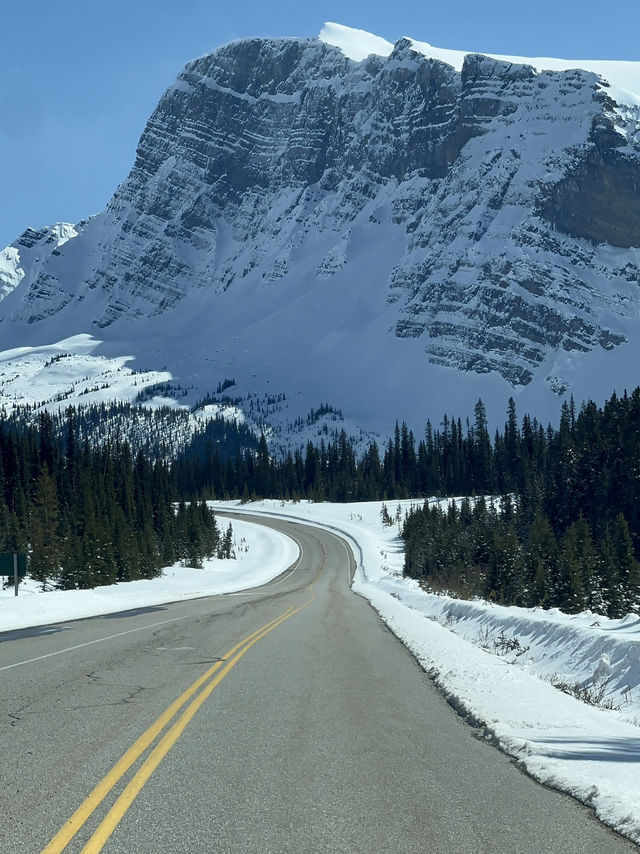 Calgary 8 Days Itinerary