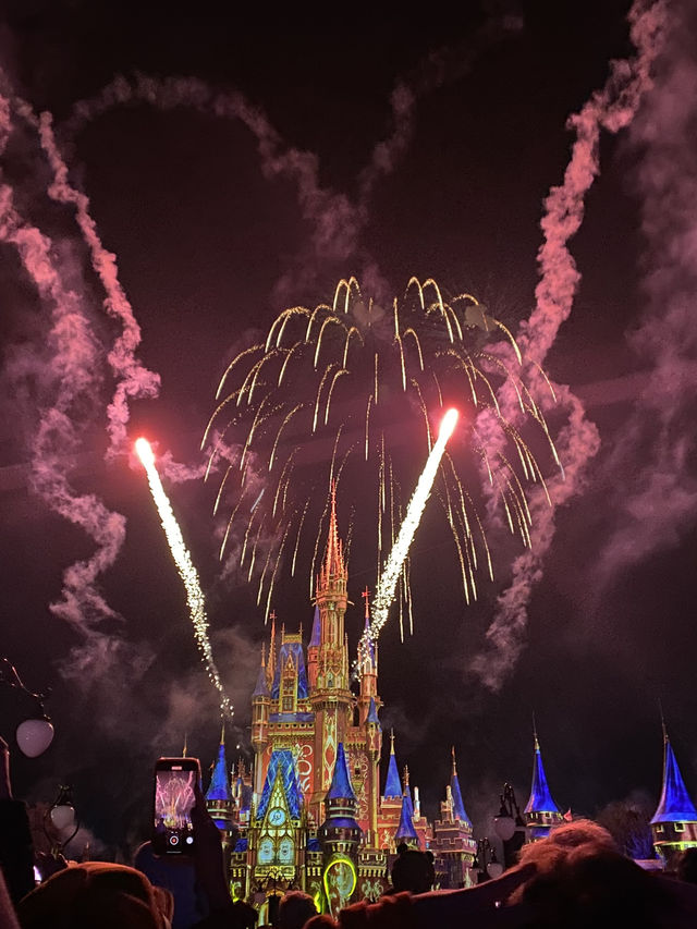 Fireworks with Mickey!